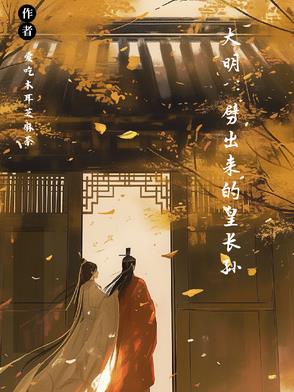 大明皇孙小说